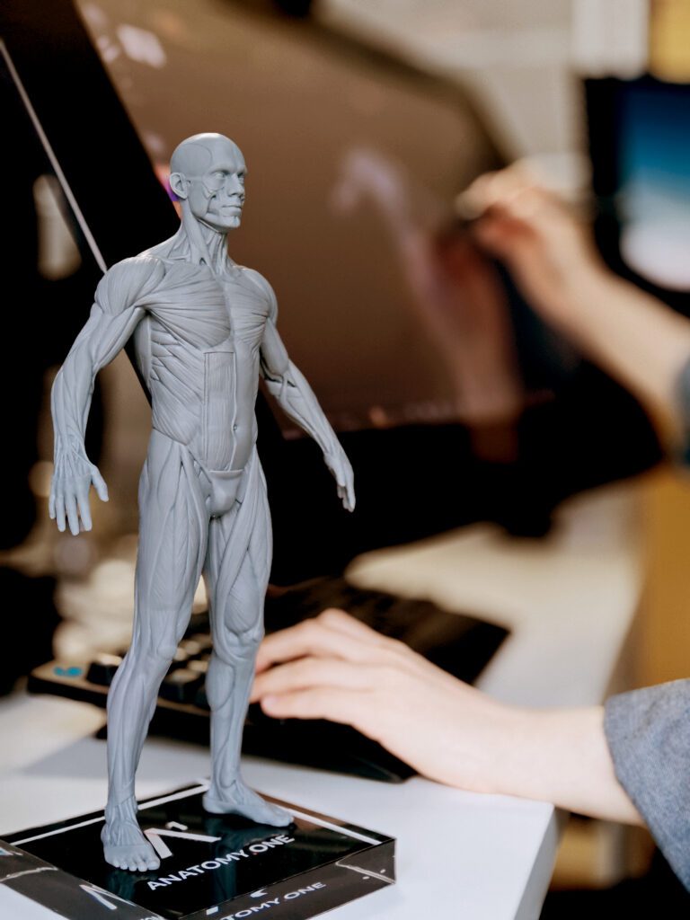 From ZBrush to Pro: Why an Anatomical Model for Artist is Your 3D Career Accelerator 2 Tom Product 00 copy