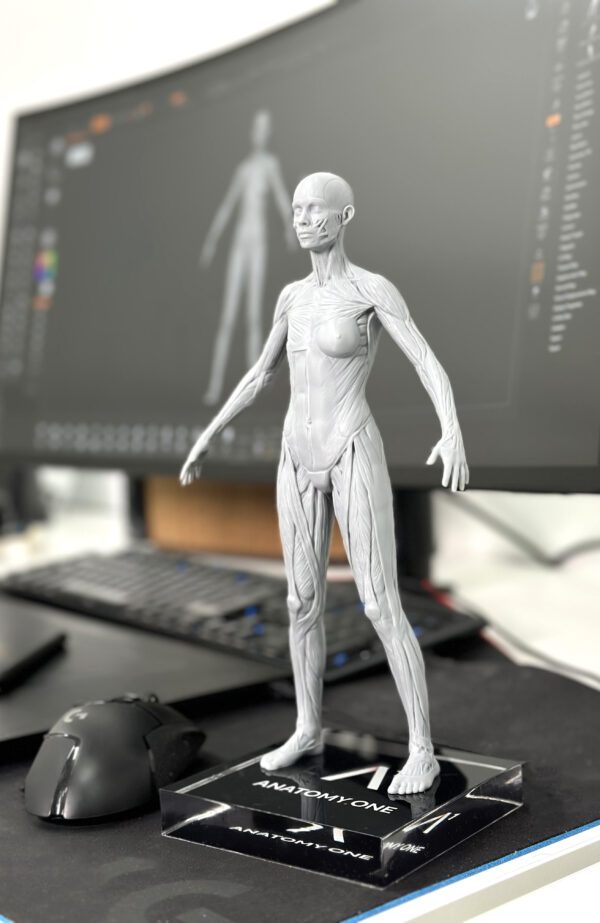 Écorché Femenino. Edición para artistas. Gris neutro. - Imagen 2