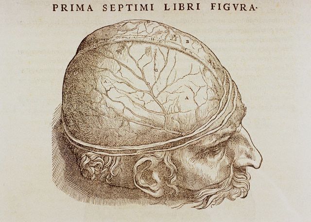 Andreas vesalius