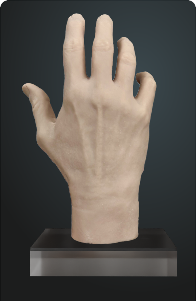 Set de estudio de la mano